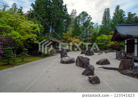 高野山:金剛峰寺的伴龍庭園 高野山:金剛峰寺的伴龍庭園 123541823