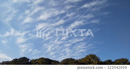 稻毛海岸的藍天白雲 稻毛海岸的藍天白雲 123542059