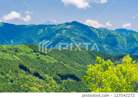 [Shizuoka Prefecture] Mount Fuji as seen from the Sugio Hananoki Observation Rest Area at Okusu Station 123542272