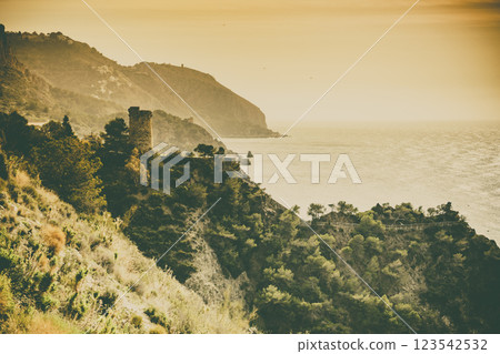 Spanish coast with Pine Tower, Andalusia. 123542532