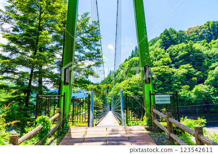 [Shizuoka Prefecture] Ryogoku Suspension Bridge over the Okuoi River 123542611