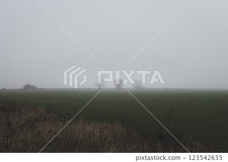 Dramatic field with trees in the fog. Bad weather in countryside. Foggy day in farm field with copy space. Ghostly misty landscape. Spleen concept. Moody weather. Foggy autumn nature. Beauty in nature 123542635