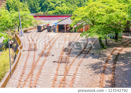 [Shizuoka Prefecture] Kawane Ryogoku Station Train Depot 123542792