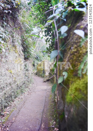 The well-maintained paths of Mt. Nokogiri 123543024