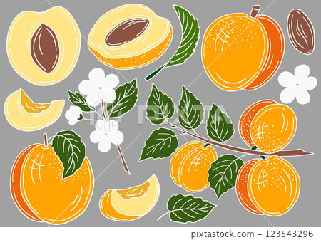 Set of color illustrations in hand draw style Set of color illustrations in hand draw style 123543296