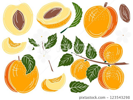 Set of color illustrations in hand draw style 123543298