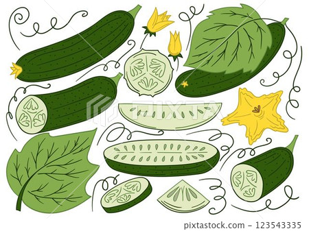 Set of color illustrations in hand draw style 123543335