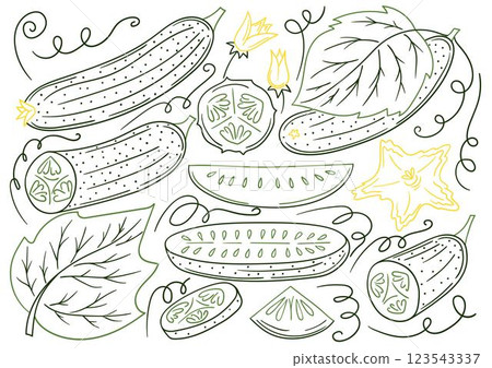 Set of color illustrations in hand draw style 123543337
