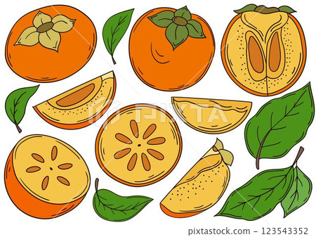 Set of color illustrations in hand draw style Set of color illustrations in hand draw style 123543352