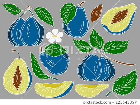 Set of color illustrations in hand draw style Set of color illustrations in hand draw style 123543357