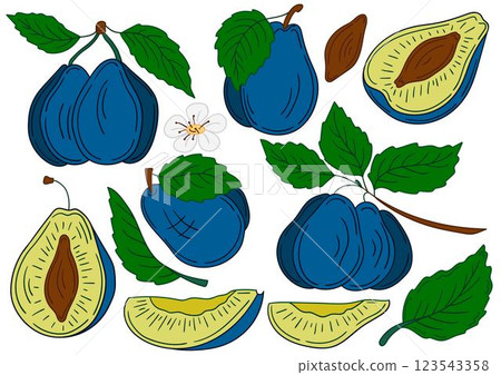 Set of color illustrations in hand draw style 123543358