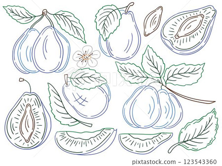 Set of color illustrations in hand draw style 123543360