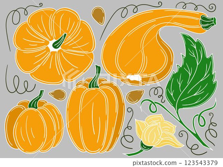 Set of color illustrations in hand draw style 123543379