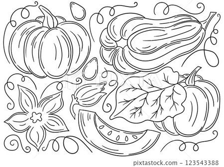 Set of color illustrations in hand draw style 123543388