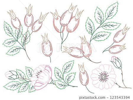 Set of color illustrations in hand draw style Set of color illustrations in hand draw style 123543394