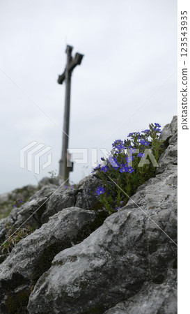 Seebergkopf mountain, summit cross, in Bavaria, Germany Seebergkopf mountain, summit cross, in Bavaria, Germany 123543935