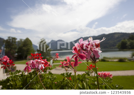 Lake Schliersee in  Bavaria, Germany 123543936