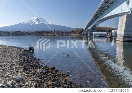 冬季的河口湖大橋和富士山 123543955