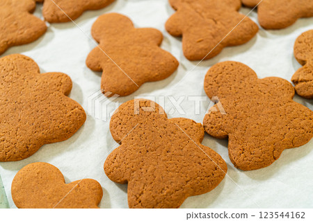 A top-down view of a baking tray filled with Orange Zest Gingerbread Cookies cooling after baking, emphasizing their neat arrangement. 123544162