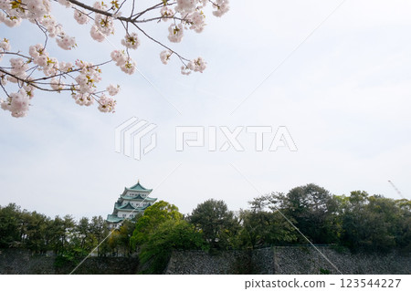 Nagoya Castle from the north side, Naka-ku, Nagoya City, Aichi Prefecture 7_April 2024 123544227