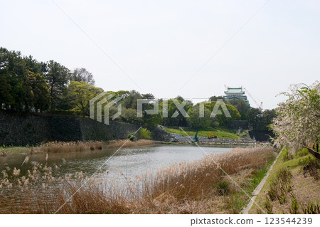 Naka-ku, Nagoya City, Aichi Prefecture_North side of Nagoya Castle, outer moat 3_April 2024 123544239