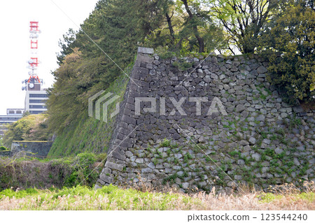 Naka-ku, Nagoya City, Aichi Prefecture_North side of Nagoya Castle, outer moat 4_April 2024 Naka-ku, Nagoya City, Aichi Prefecture_North side of Nagoya Castle, outer moat 4_April 2024 123544240