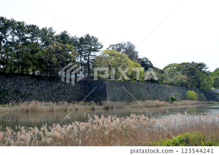 Aichi Prefecture, Nagoya City, Naka Ward_North side of Nagoya Castle, outer moat 5_April 2024 123544241