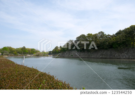 Aichi Prefecture, Nagoya City, Naka Ward, Nagoya Castle North Moat 17, April 2024 Aichi Prefecture, Nagoya City, Naka Ward, Nagoya Castle North Moat 17, April 2024 123544250