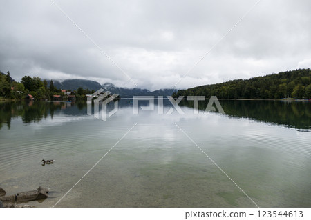 Lake Kochelsee, Kochel am See, Bavaria, Germany 123544613