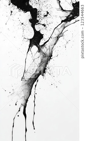 Abstract black ink splash creating dynamic patterns on white background in minimalistic art style Abstract black ink splash creating dynamic patterns on white background in minimalistic art style 123544663