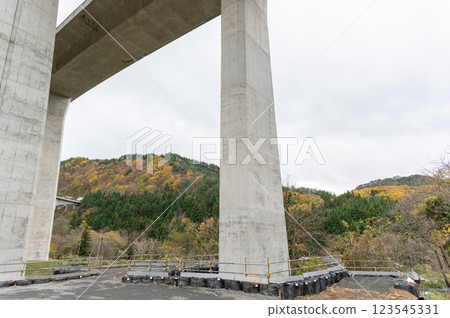 Bridge pier repair work 123545331