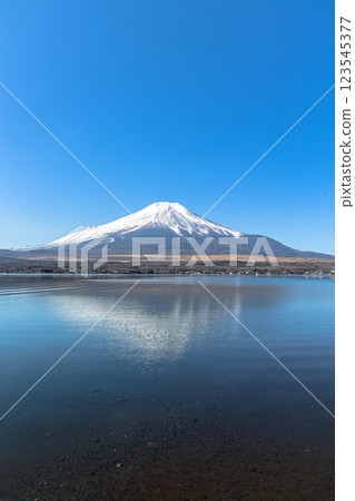 晴朗天氣下從山中湖看到的富士山 晴朗天氣下從山中湖看到的富士山 123545377