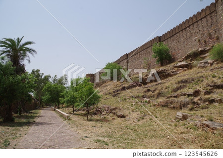 印度拉賈斯坦邦的山堡加格隆堡 123545626