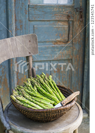 Asparagus Asparagus 123545741