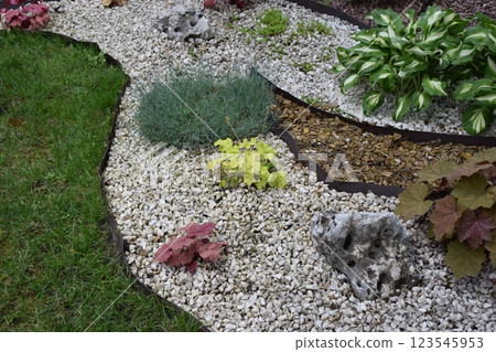 A well-maintained garden area featuring a variety of plants. Variegated Hosta Garden A well-maintained garden area featuring a variety of plants. Variegated Hosta Garden 123545953