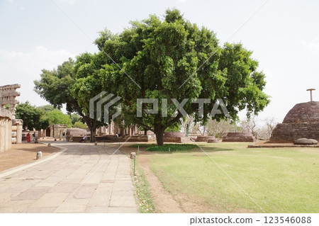 印度:世界遺產:桑奇佛教古蹟 印度:世界遺產:桑奇佛教古蹟 123546088