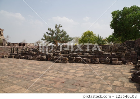 印度：世界遺產：桑奇佛教古蹟 123546108