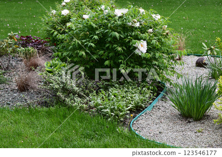 A well-maintained garden featuring lush green grass, a variety of plants, and shrubs. Neatly Arranged Planting 123546177