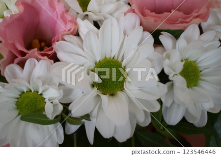 Vibrant Bouquet of White and Pink Flowers Vibrant Bouquet of White and Pink Flowers 123546446