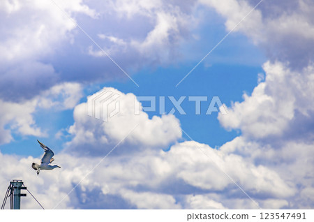 Summer sky with white clouds and seagulls-02 Summer sky with white clouds and seagulls-02 123547491