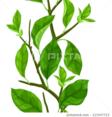 Pattern with branches and leaves. Spring or summer stylized foliage. Pattern with branches and leaves. Spring or summer stylized foliage. 123547723