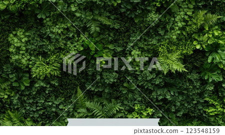 Lush greenery fills the landscape featuring stars and a checkmark symbolizing top environmental quality in an eco-friendly forest 123548159