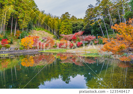 袋井市（靜岡縣）賀水齋寺北條池水面上倒映的秋葉 123548417