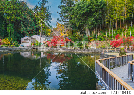 袋井市（靜岡縣）賀水齋寺北條池水面上倒映的秋葉 123548418