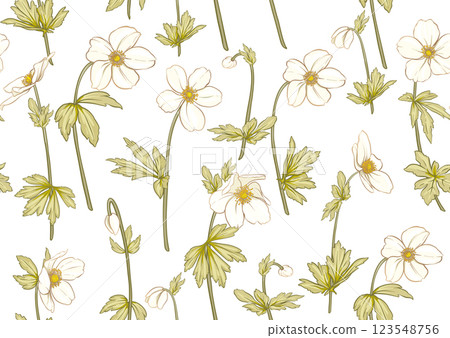 Forest Anemone flowers, decorative flowers Forest Anemone flowers, decorative flowers 123548756