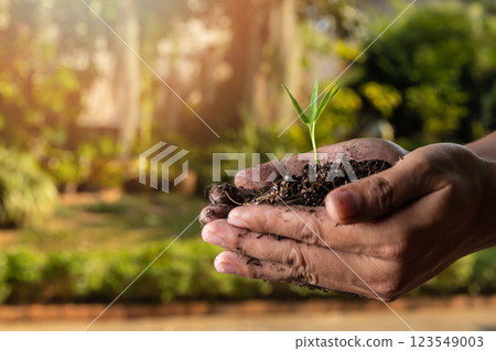 closeup hand of person holding abundance soil with young plant. Concept green world earth day 123549003