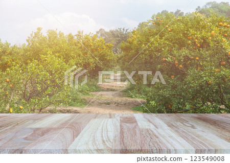 Wooden tabletop on blurred orange orchard background, can be used for display or montage your products. 123549008