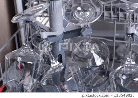 Wine glasses in dishwasher. Clean and tidy. Organizing dishes on holder, loading dirty items. 123549023