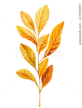 Dry yellow leaves isolated. Hand Painted Watercolor Foliage. Autumn Season Leaves and Branches in Warm Fall Colors Dry yellow leaves isolated. Hand Painted Watercolor Foliage. Autumn Season Leaves and Branches in Warm Fall Colors 123549057