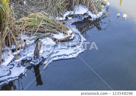 Shot of the frozen pond. Nature Shot of the frozen pond. Nature 123549296